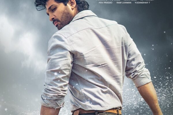 Top 10 Highest Grossing Movies of Allu Arjun in Nizam